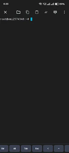 Скриншот 3 — SSH Terminal Client