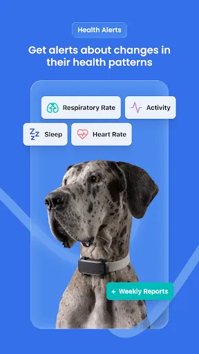 Скриншот 5 — Tractive GPS для кошек и собак