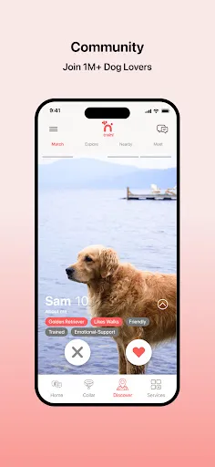 Скриншот 6 — Traini-Dog Translator&Training