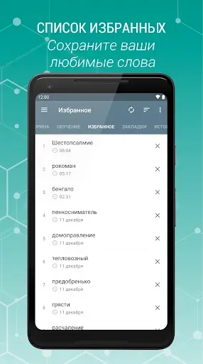 Скриншот 3 — Толковый Словарь