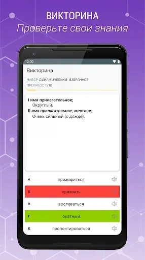 Скриншот 4 — Толковый Словарь
