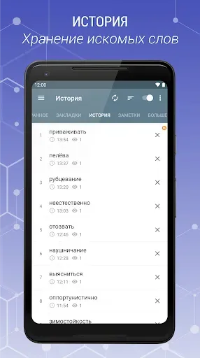 Скриншот 7 — Толковый Словарь