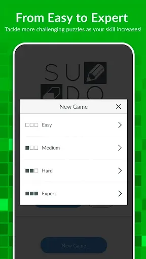 Скриншот 2 — Sudoku