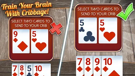 Скриншот 3 — Ultimate Cribbage: Card Board