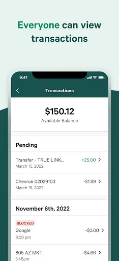 Скриншот 5 — True Link Financial