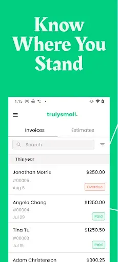 Скриншот 7 — TrulySmall Business Invoices