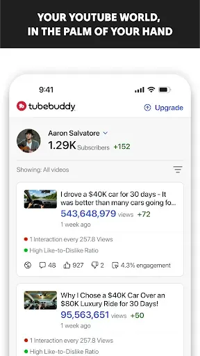 Скриншот 1 — TubeBuddy