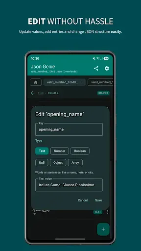Скриншот 4 — Json Genie PREMIUM-JSON Editor