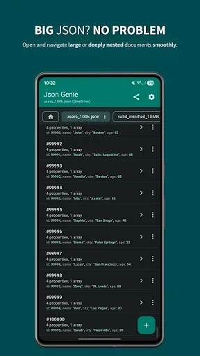 Скриншот 6 — Json Genie PREMIUM-JSON Editor