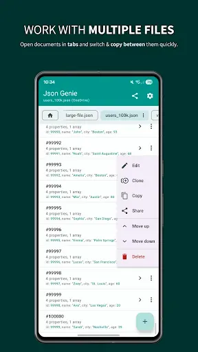 Скриншот 7 — Json Genie PREMIUM-JSON Editor