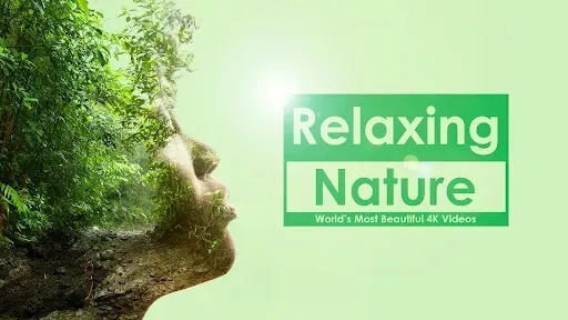 Скриншот 1 — Relaxing Nature