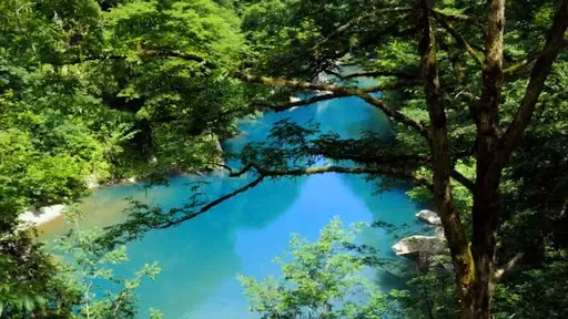 Скриншот 6 — Relaxing Nature