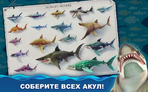 Скриншот 8 — Hungry Shark World
