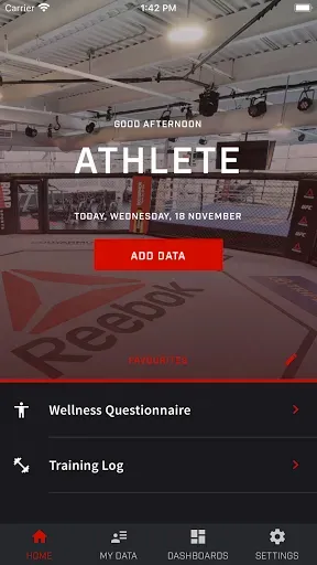 Скриншот 1 — UFC PI
