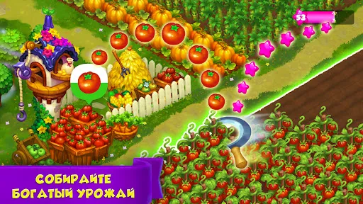 Скриншот 4 — Royal Farm