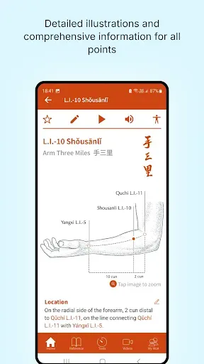 Скриншот 2 — A Manual of Acupuncture 2025