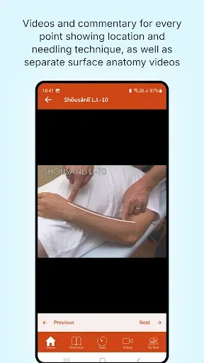 Скриншот 3 — A Manual of Acupuncture 2025