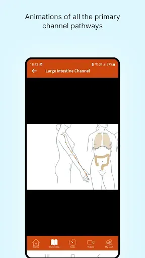 Скриншот 4 — A Manual of Acupuncture 2025