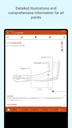 Скриншот 7 — A Manual of Acupuncture 2025