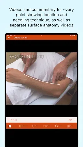 Скриншот 8 — A Manual of Acupuncture 2025