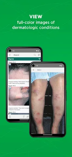 Скриншот 4 — 5-Minute Clinical Consult