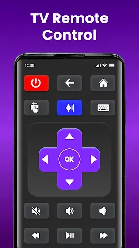 Скриншот 2 — Universal TV Remote Control