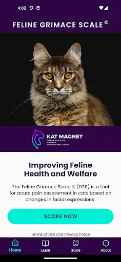 Скриншот 1 — Feline Grimace Scale
