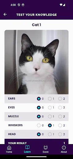 Скриншот 3 — Feline Grimace Scale