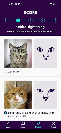 Скриншот 4 — Feline Grimace Scale