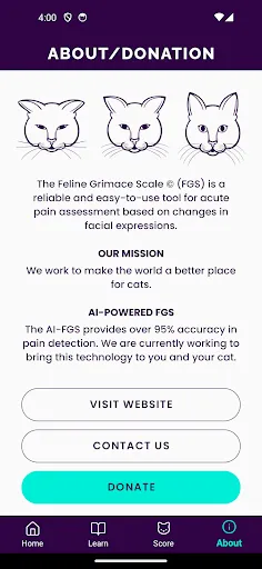 Скриншот 5 — Feline Grimace Scale