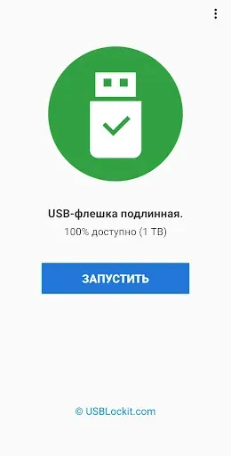 Скриншот 5 — USB Checkit - Detect Fake Size