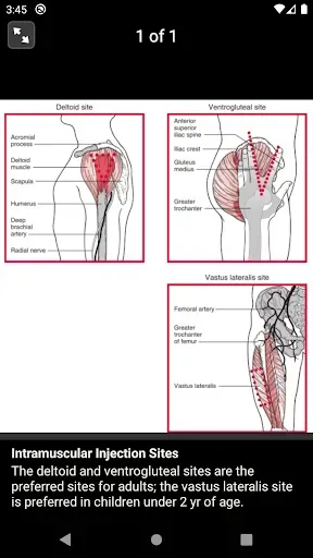 Скриншот 6 — Davis's Drug Guide for Nurses