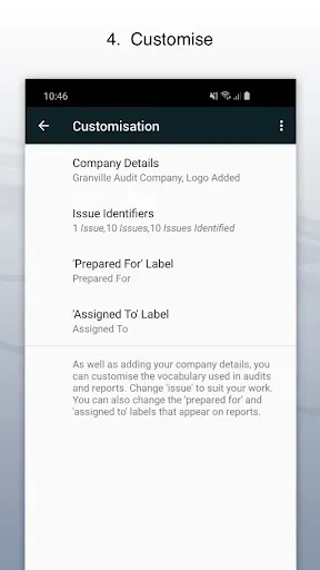 Скриншот 4 — Site Audit Pro