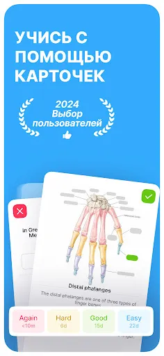 Скриншот 1 — Noji: Учись с карточками