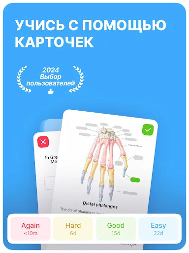 Скриншот 8 — Noji: Учись с карточками