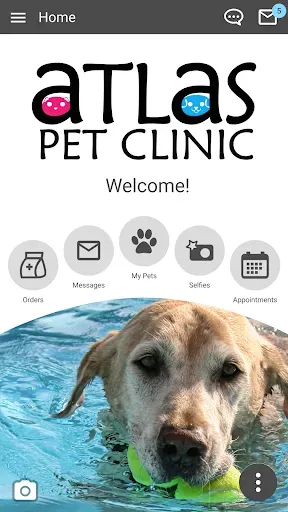 Скриншот 1 — Atlas Pet Clinic