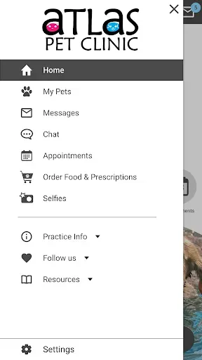 Скриншот 2 — Atlas Pet Clinic