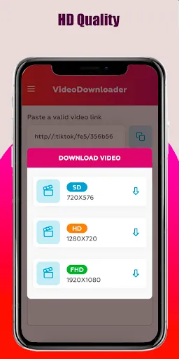 Скриншот 3 — SSS: TT Video Downloader