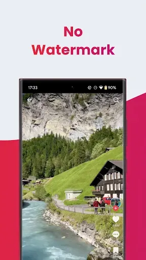 Скриншот 2 — SSSTIK Video Downloader Lite