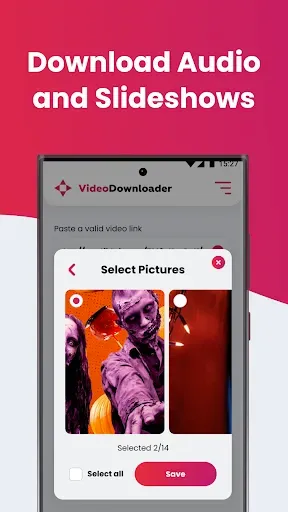 Скриншот 3 — SSSTIK Video Downloader Lite