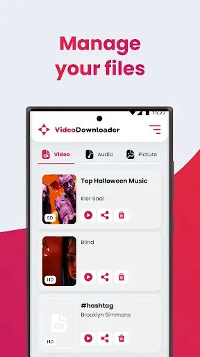 Скриншот 4 — SSSTIK Video Downloader Lite