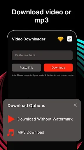 Скриншот 3 — SnapTik - Download video TT