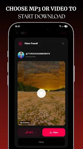 Скриншот 4 — VDT - Video Downloader Tik