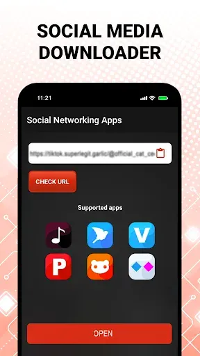 Скриншот 2 — All Video Downloader Master