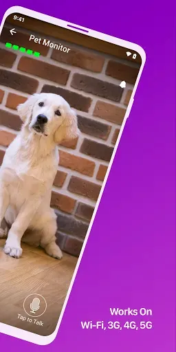Скриншот 2 — Pet Monitor VIGI