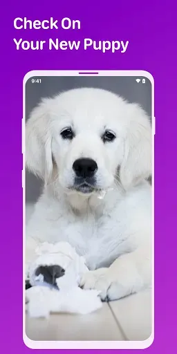 Скриншот 4 — Pet Monitor VIGI