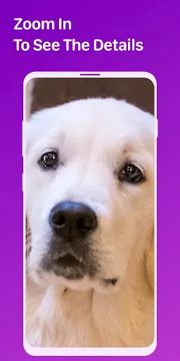 Скриншот 7 — Pet Monitor VIGI