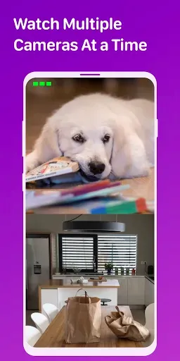 Скриншот 8 — Pet Monitor VIGI