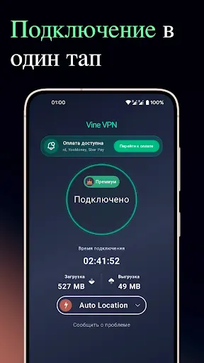 Скриншот 2 — Vine VPN: быстрый надёжный ВПН