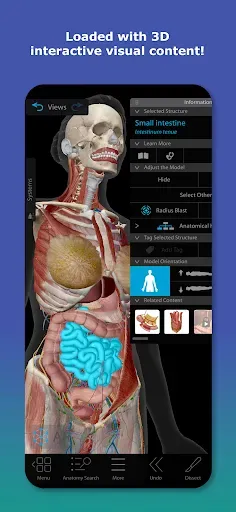 Скриншот 1 — Human Anatomy Atlas 2026